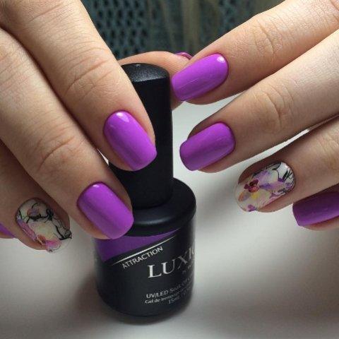 Akzentz Luxio - Attraction